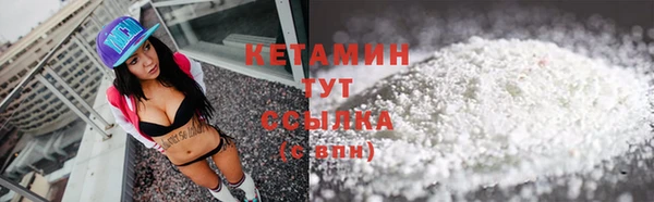 прущие грибы Балахна