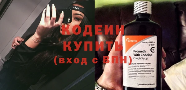 прущие грибы Балахна