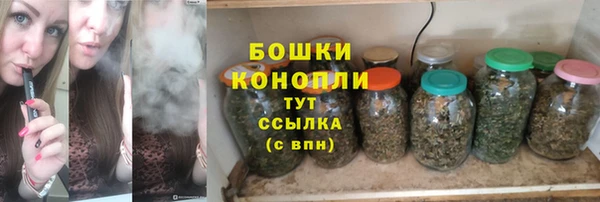 прущие грибы Балахна