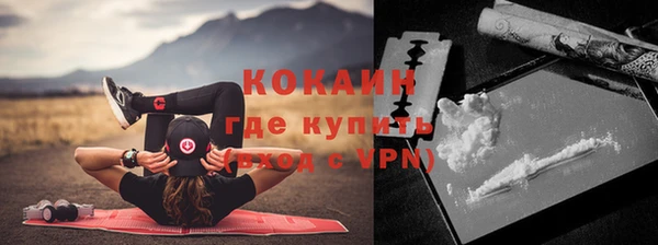 прущие грибы Балахна