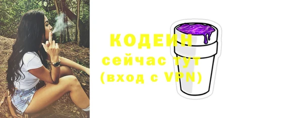 дживик Баксан