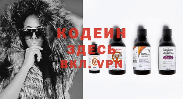 прущие грибы Балахна