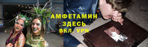 прущие грибы Балахна