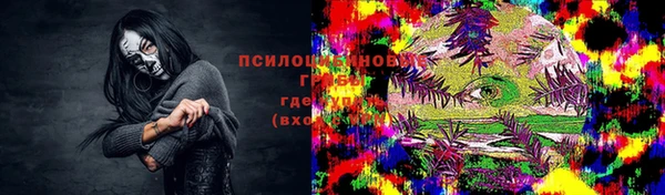 дживик Баксан