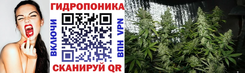 сколько стоит  Тулун  МАРИХУАНА ГИДРОПОН 